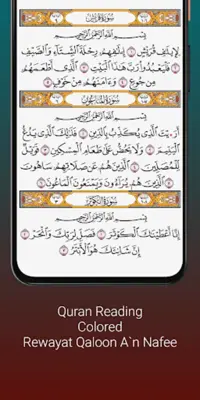 Abdul Rashid Sufi quran Soosi android App screenshot 0